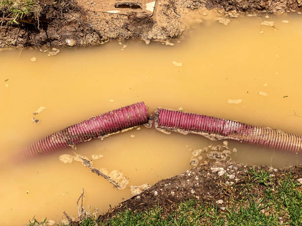 Best Water damage restoration services  in Hahnville, LA